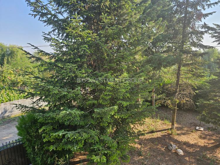 Vila Frumusani, piscina, vedere lac, 8 camere, - 9