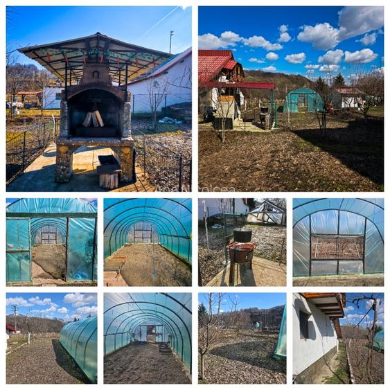 Se vinde: două case si o grădină de vis in Valea de Brazi - 6