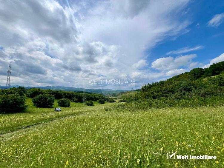 Oportunitate investitie, teren cu panorama pentru cabane - 7