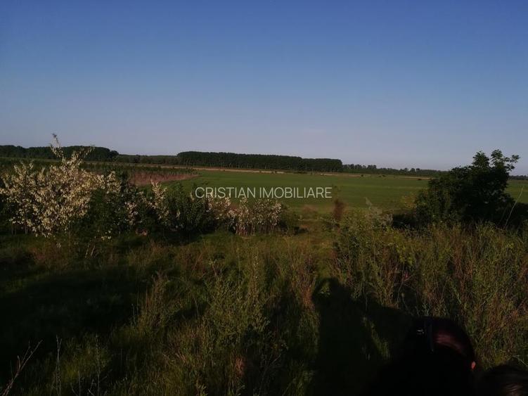 Teren intravilan de constructii, Chiscani, St - 2200 mp, deschidere 50 m - 2