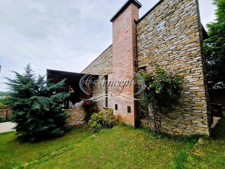 Casa deosebita in Faget - 4