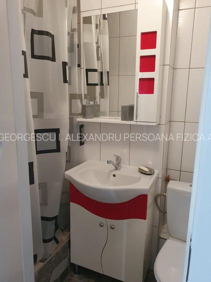 Sala Palatului 2 Camere Ultracentral - 11