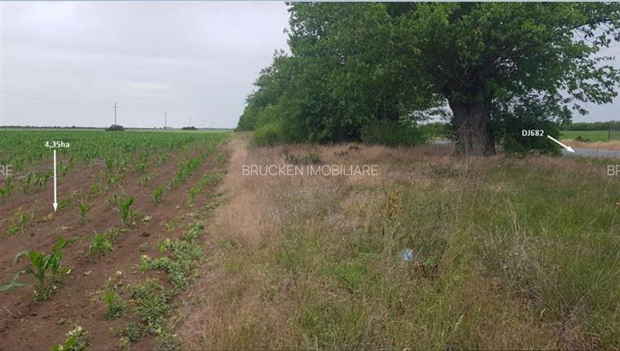 TEREN CU POTENTIAL INDUSTRIAL | 4,35 HA | ARAD, ZADARENI - 9
