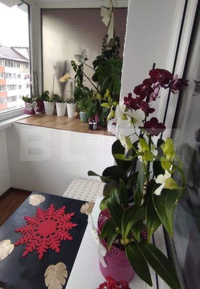 Apartament 2 camere, decomandat – Noua | Vedere superbă spre munți - 5