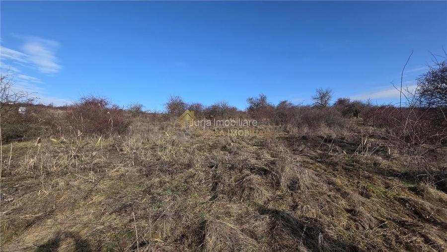 TEREN INTRAVILAN 590 MP  | 2 FRONTURI 17 MP | ZONA CARTIER  VORONET - 6