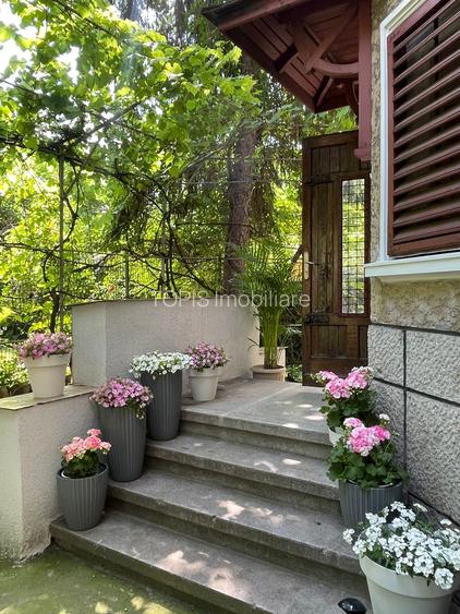 Parter in Vila cu intrare Individuală / Cotroceni/ Centrala Proprie - 7