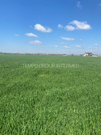 Sabareni - Certificat de Urbanism - 5808mp teren pentru investitie !! - 21