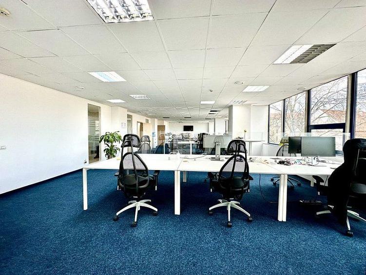 Birou amenajat - Piața Unirii/Bastion - 9