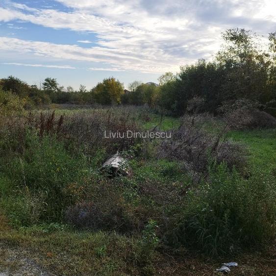 Teren de vanzare in comuna Sperieteni - 4