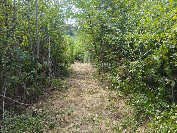 Teren 2552 mp, panorama superba Mosoaia Hintesti -Strada  Basangesti - 4