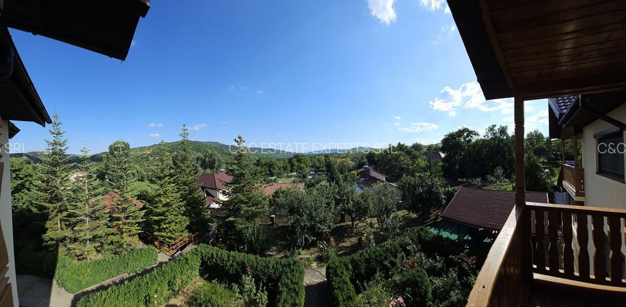 Vila superba de vanzare in Vintila Voda, Buzau D+P+1 si anexe - 39