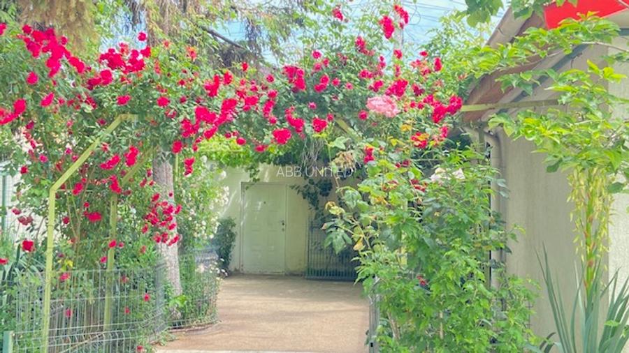 Sura Mare, Eroii Revolutiei, vila, 566mp teren, piscina! - 7