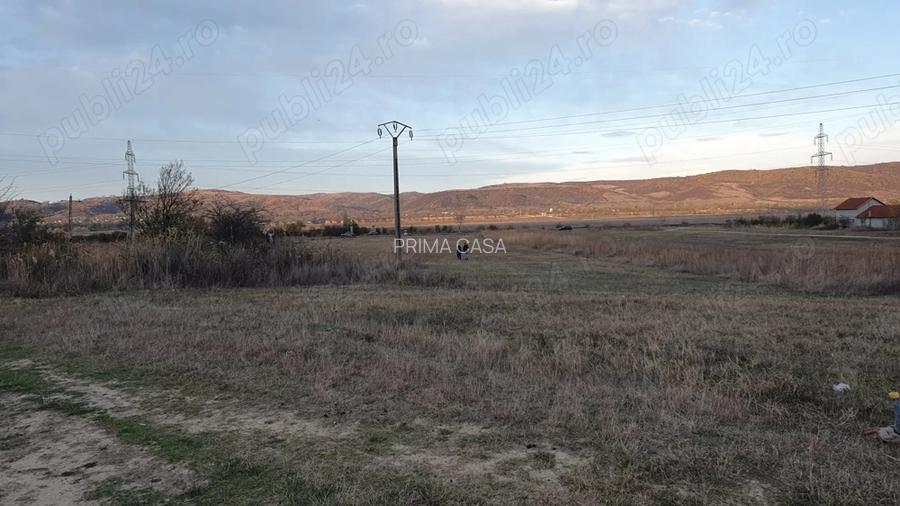 Teren intravilan zona Candesti BZ 10.000mp d=52m la DN10 Pret: 12 mp neg. - 4