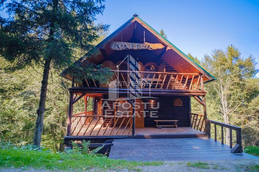 Pensiune, casa de vacanta, 6 camere, statiunea Rausor din Hunedoara - 22