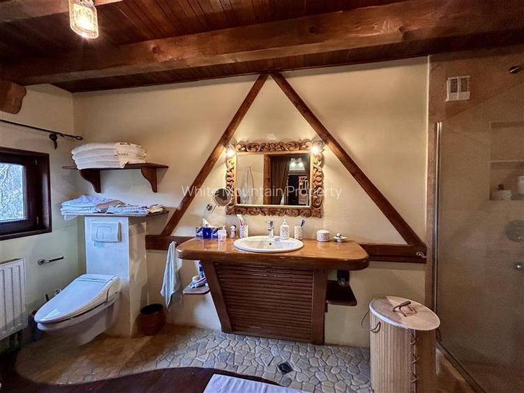 Raritate| Proprietate de vis pe 6 ha intravilan  de vanzare in Pestera Brasov - 6