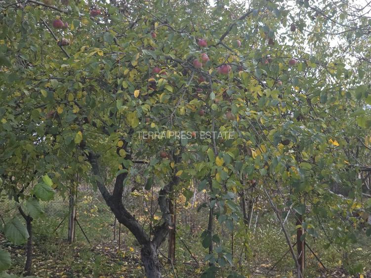 Cel mai bun pret! Casa ta la 5 minute de municipiul Targoviste - 8