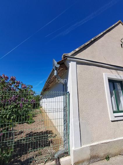 Valcani, proprietate cu casa taraneasca - 14