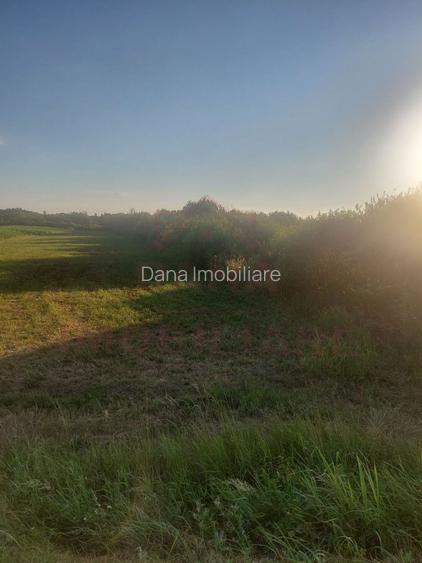 TEREN DE VÂNZARE-32480 mp CARANSEBEȘ JUD.CS,  0% COMISION - 4
