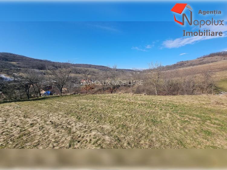 Teren de exceptie 3,1 ha intravilan | Panorama, utilitati, acces dublu | Sard - 10