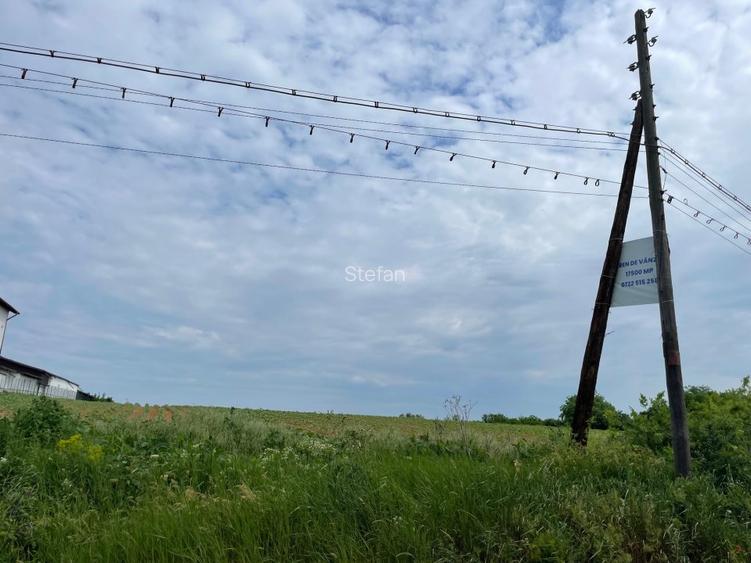 Teren Piscu intravilan,12500 mp, 15 euro mp, 30 m deschidere, toate utilitatile - 4