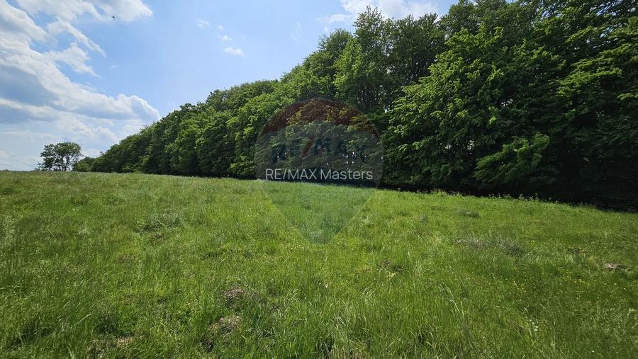 Teren Ilisesti  7000mp extravilan/ DN 17, Suceava - 23