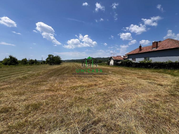 Teren intravilan/Str Balciului/Copacelu - 6