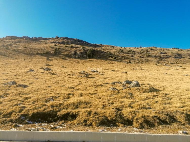 Platoul Bucegi zona Blana 2500mp intravilan construibil - TransBucegi - 7