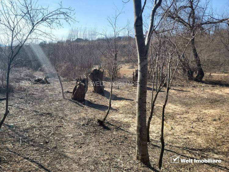 Teren intravilan, 1000 mp, Ciurila - 5