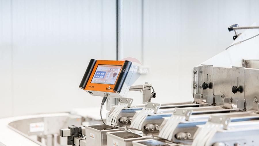 Plantatie de afine la cele mai inalte standarde, de vanzare! - 10