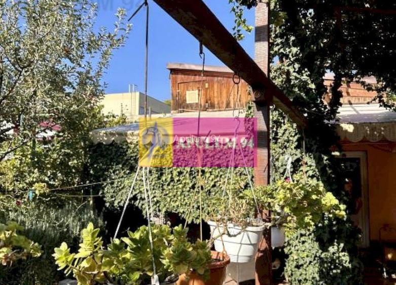 Casa Vatra Luminoasa-Soseaua Iancului - 2