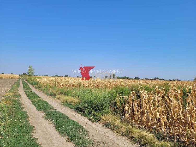 Teren parcelat cu PUZ aprobat 27.000mp - 3