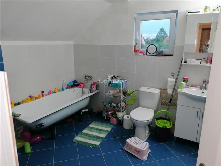 Vila Individuala Sinmihaiul Roman - 23