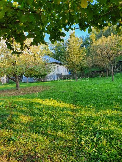 Puciosa Moreni Valea Lunga Sat Izvoru 20000mp teren de vanzare - 9