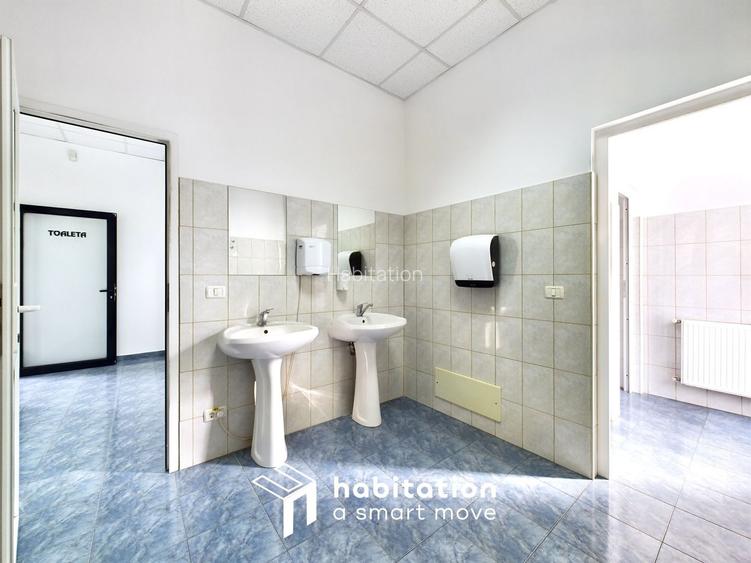 Clădire de birouri de închiriat în Dumbrăvița - 20