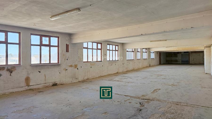 Proprietate multifunctionala - teren generos, cladire si hala in Lugoj - 20