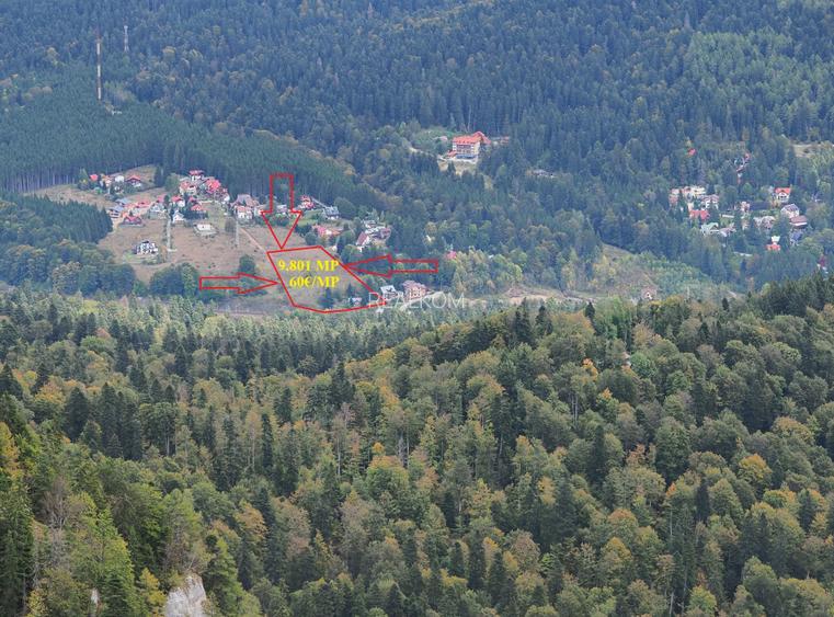 TEREN PENTRU DEZVOLTARE SINAIA-CUMPATU Str. Zamora-9.801 mp-Comision 0% - 13