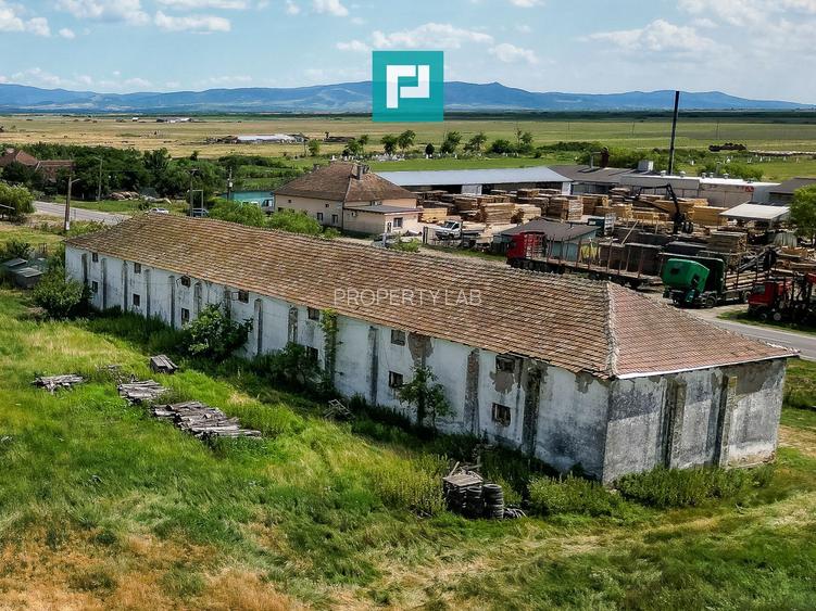 Hală industrială cu teren generos în Zărand, Arad - 6