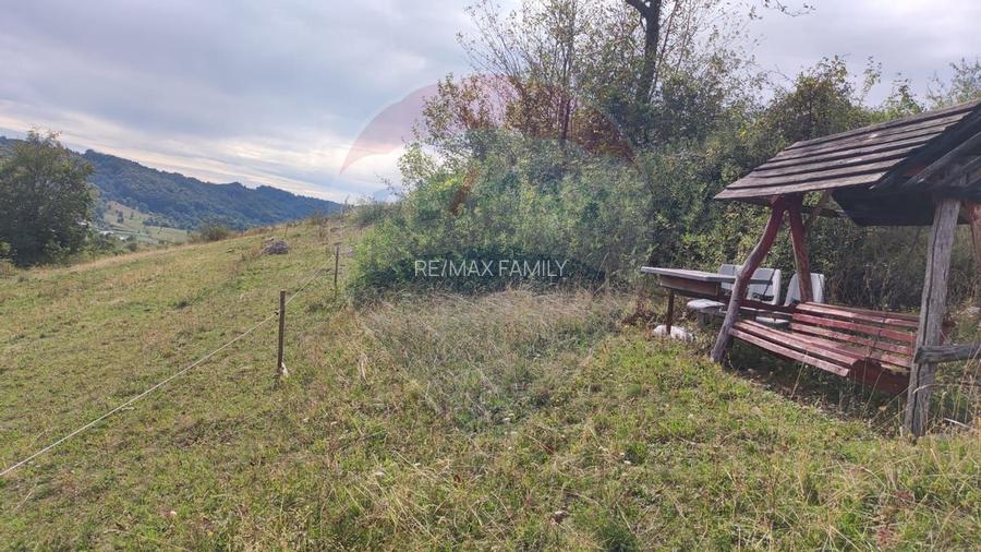 Teren constructii si faneata/livada 3082 mp Damis Bratca drum DJ 764D - 13