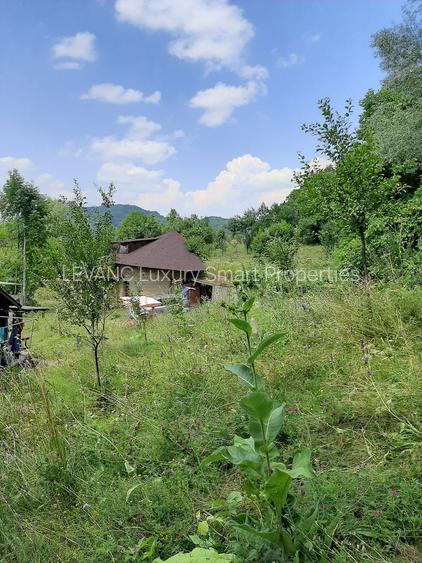 Proprietate pe Valea Vâlsanului – Cabane din lemn + Casă ecologică COB - 8