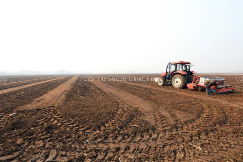 Ferma de Cultura Mare 1100 HA - 5