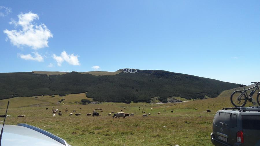 Teren in Moroeni zona Piatra Arsa - 2