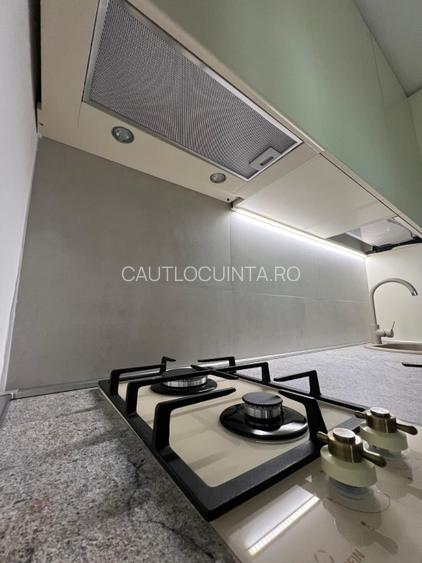 Apartament cu 2 camere | Lacul Herastrau | Nordului - 5