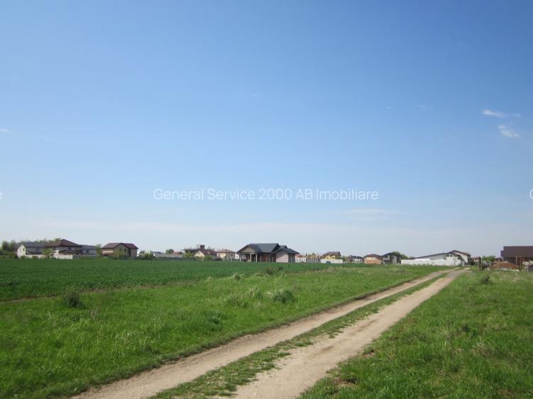 Domnesti-Crengutei - 9