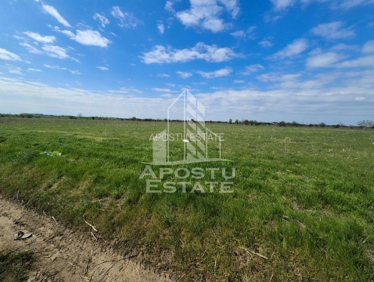 Teren intravilan de vânzare – Sânnicolau Mare, județul Timiș - 5