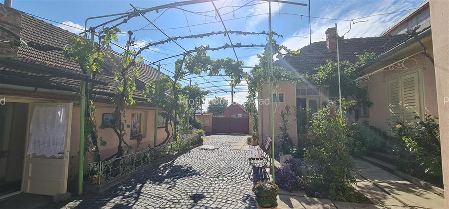 Casa de inchiriat pe calea Radnei - strada principala - 3