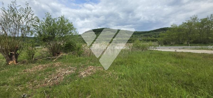 Teren intravilan industrial 2.779 mp de vânzare, DN1 Cristian, Sibiu - 3