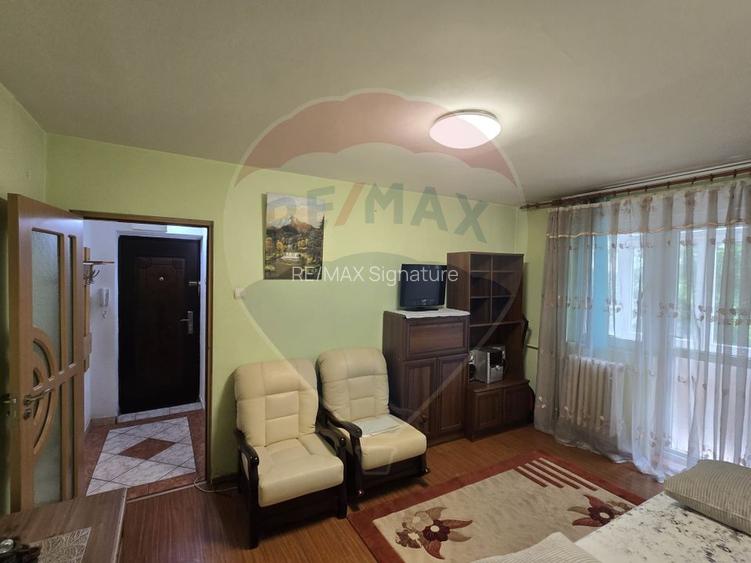 Apartament cu 2 camere de închiriat în zona Baneasa - 5
