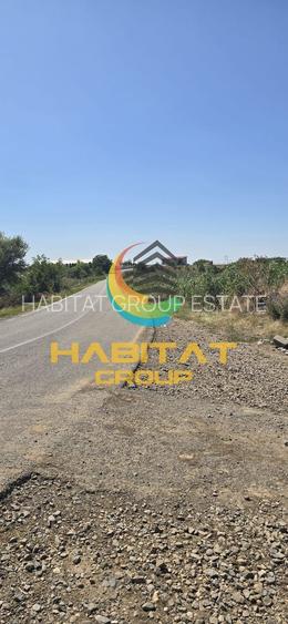 Teren intravilan – PUZ aprobat, utilitati 150m, asfalt - Ambient Lake Events - 3