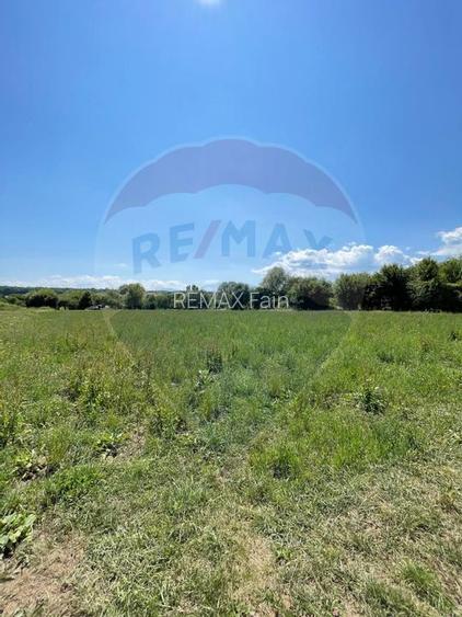 TEREN  INTRAVILAN  5000mp ORAS CISNADIE  STR. SELIMBARULUI - 17