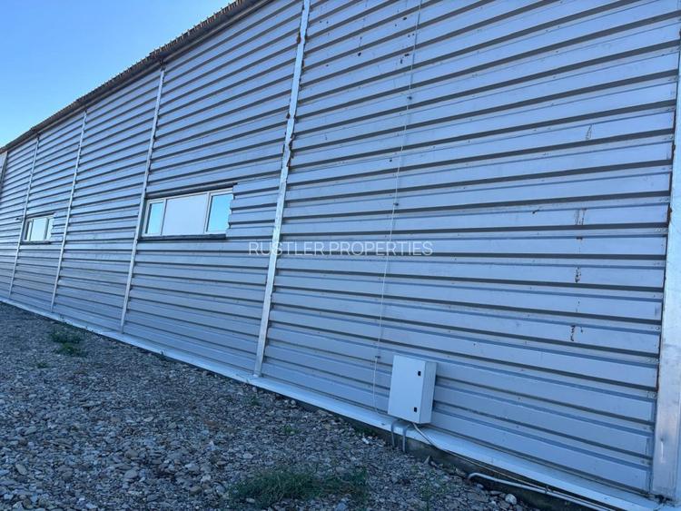 Hala de vanzare Corbeanca - 8